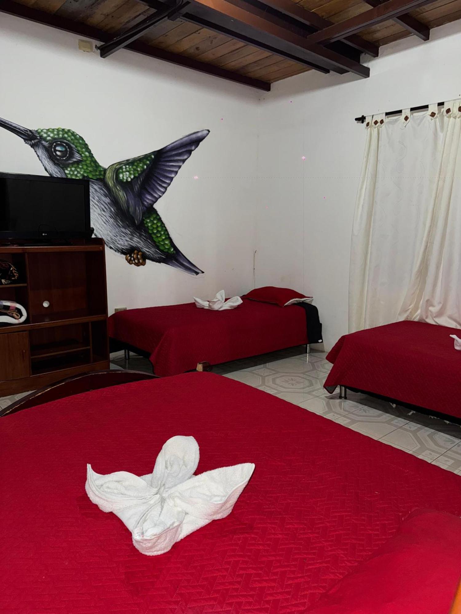 Luna Park Ecohotel Colibri Salento מראה חיצוני תמונה